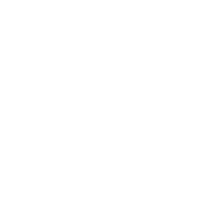 Courier Services